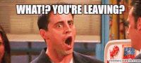 Homem surpreso perguntando "What!? You're leaving?"
