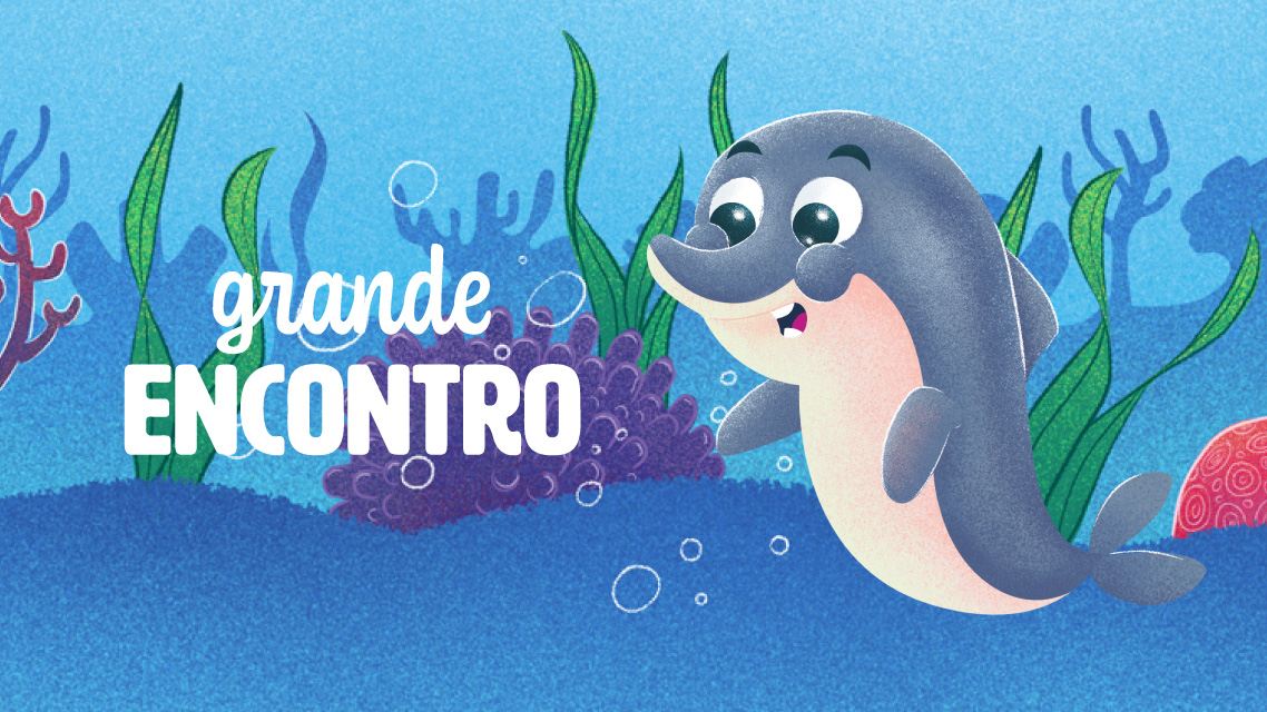 Arte do clipe Grande Encontro com o boto-cinza Zinho